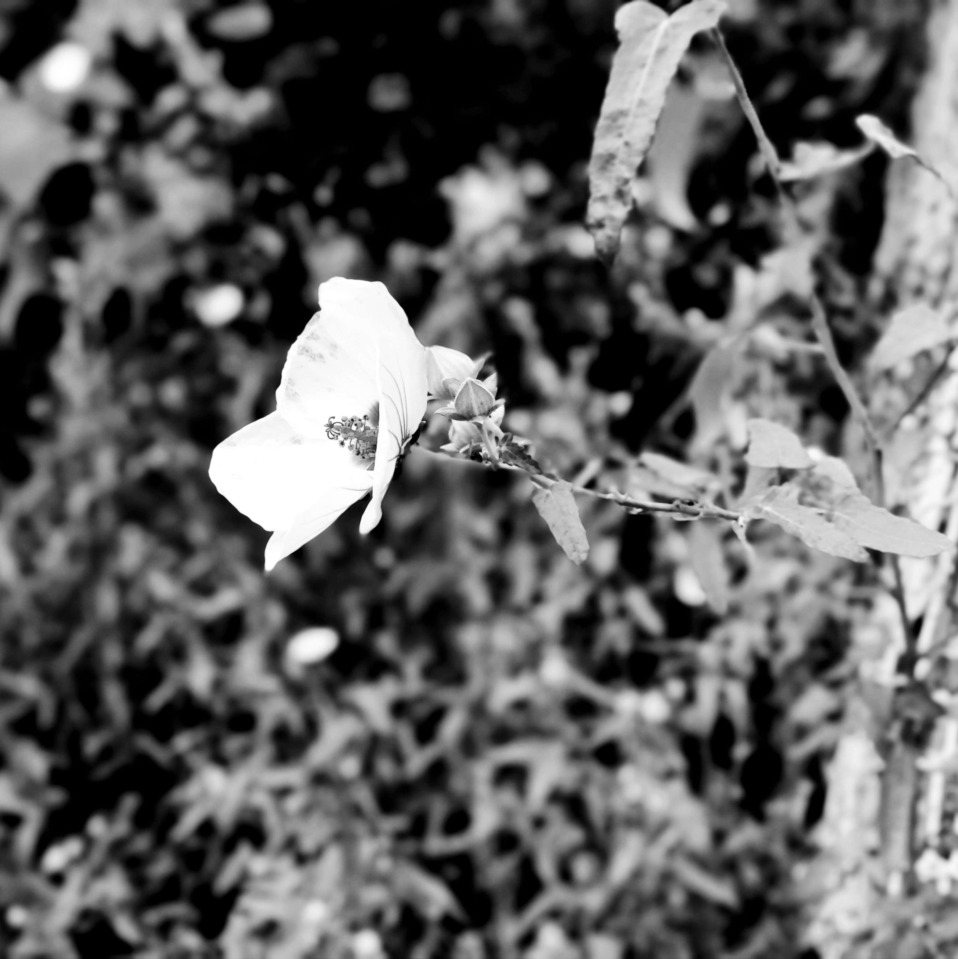 田口諒のアバター