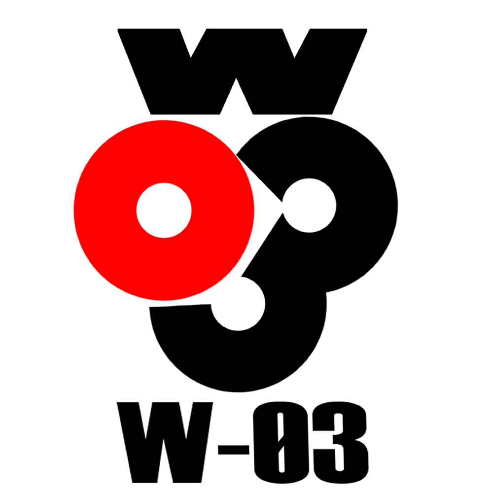 W03 Logo